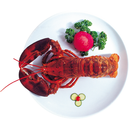 Baked Lobster With A Garnish